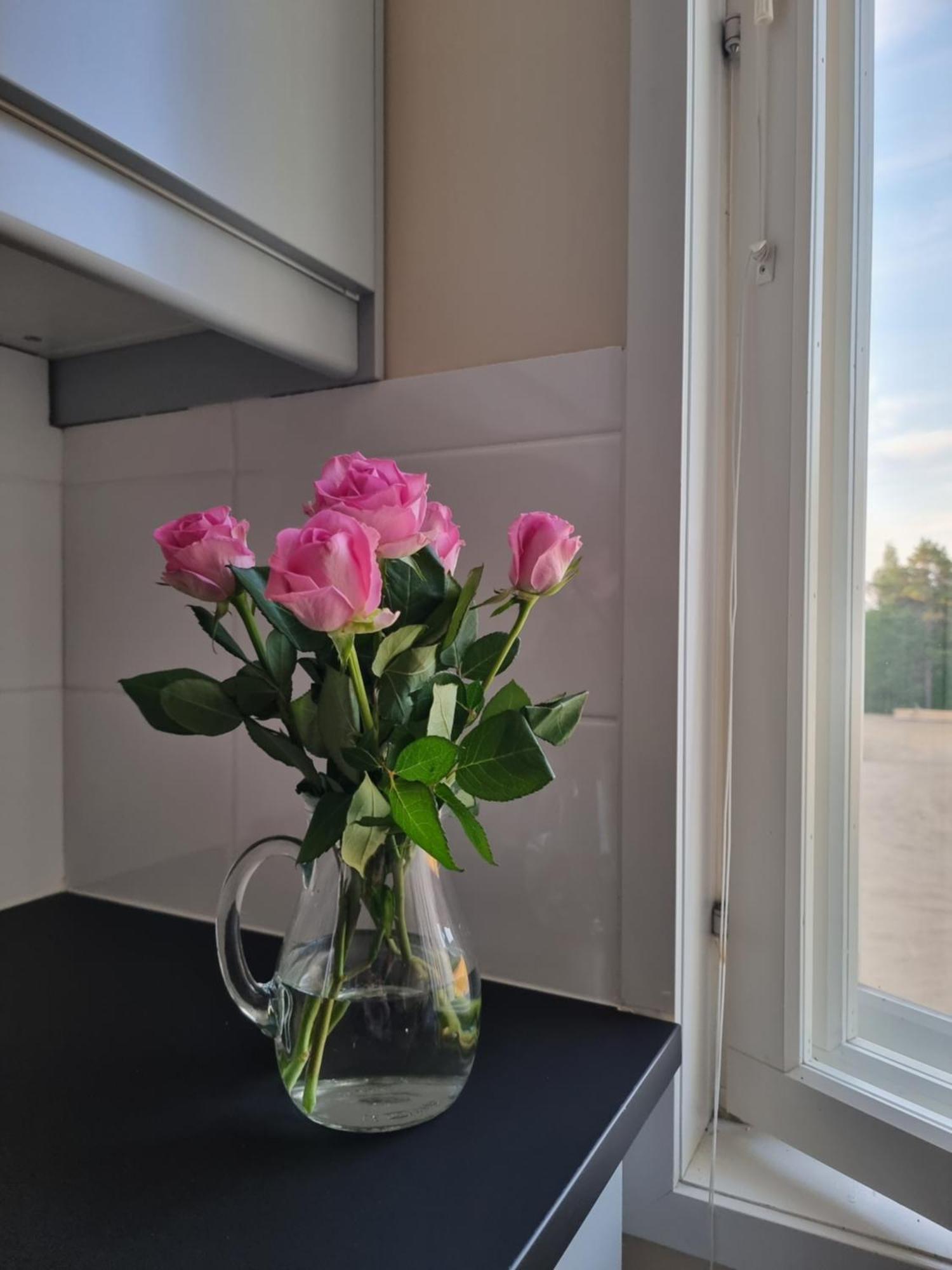 Kuukkeli Ivalo Airport Inn Zewnętrze zdjęcie